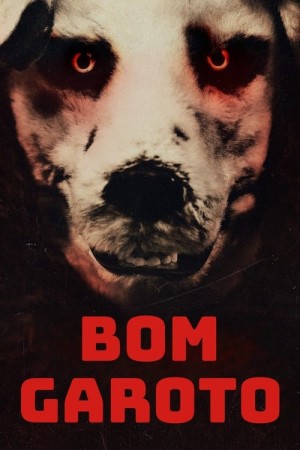 Capa do filme Bom Garoto para assistir online em HD